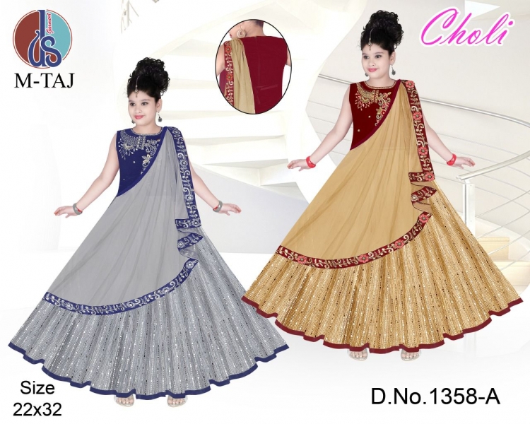SAREE CHOLI