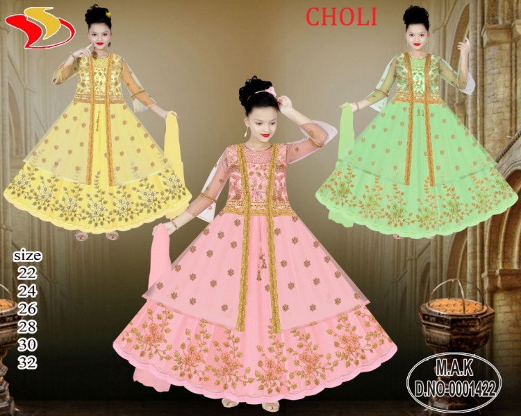 SAREE CHOLI