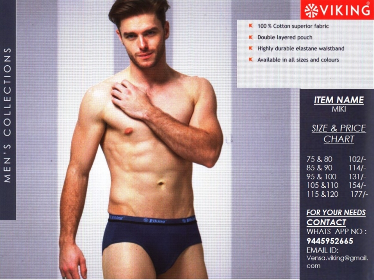 BRIEFS