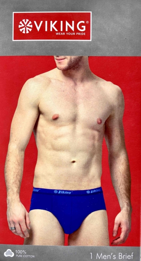 BRIEFS